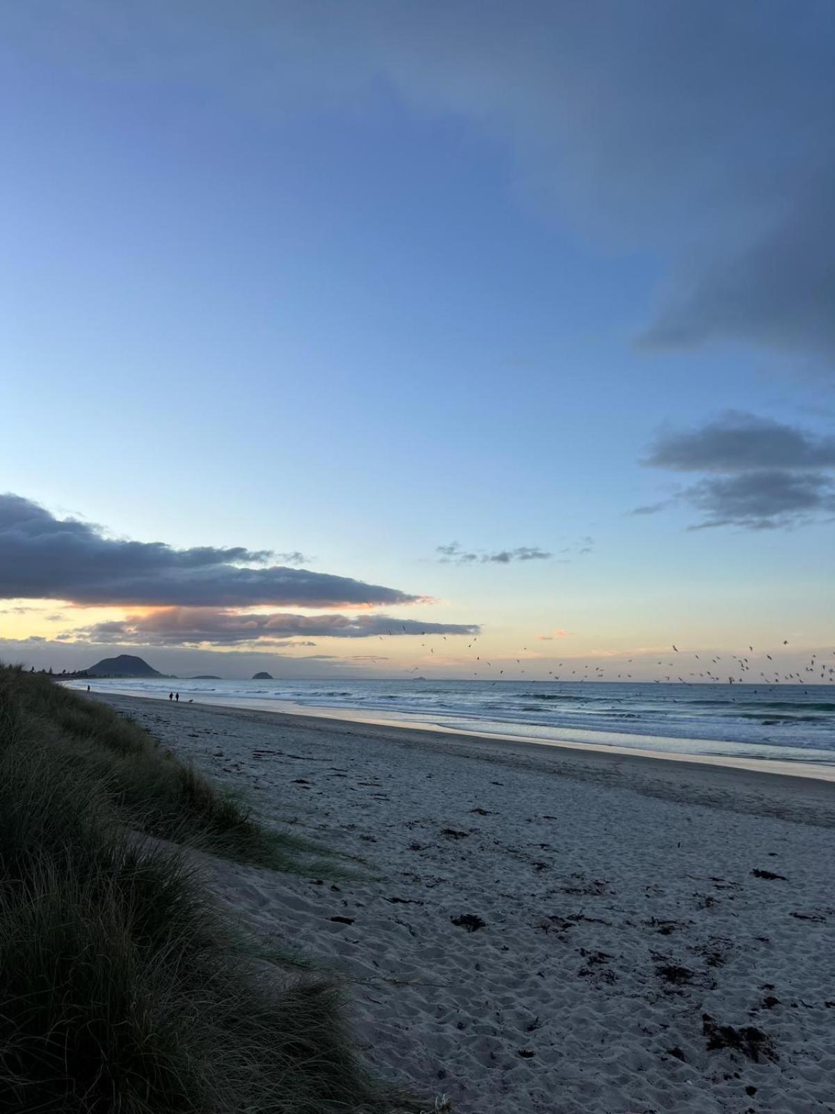Papamoa Beach, Pohutukawa Deluxe Studio, On Hugoway Экстерьер фото